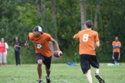 OTFL Gallery Image